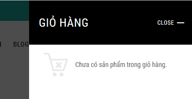 Hướng dẫn Việt hóa theme WordPress bằng plugin Loco Translate
