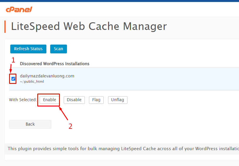 Kết quả scan hiển thị danh sách website WordPress và nút Enable